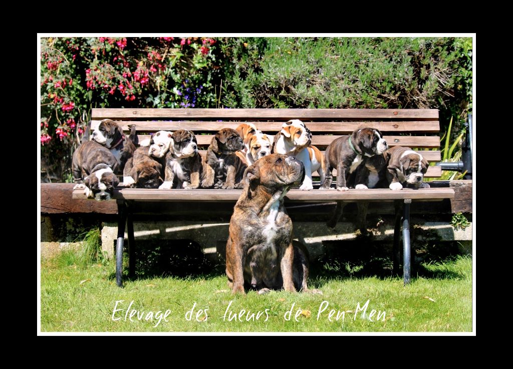 Nya et ses 13 bébés